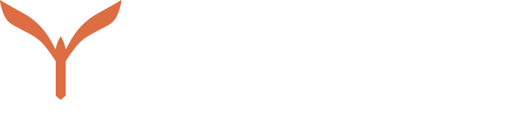 Tradewise Services